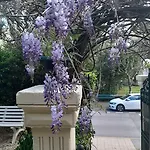 Saint Charles Hotel & Coliving Biarritz Μπιαρίτζ
