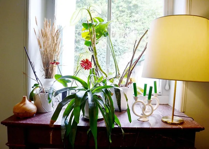 Hotel Saint Charles & Coliving Biarriz