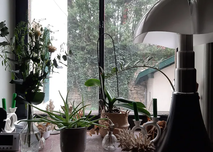 Hotel Saint Charles & Coliving