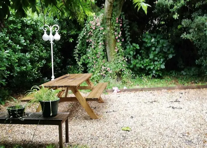 Hotel Saint Charles & Coliving